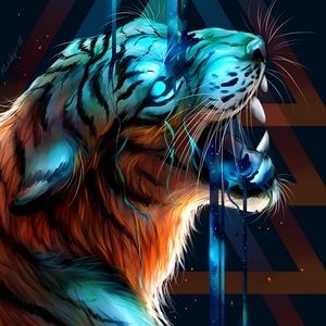 Meet your Posher, Brandon